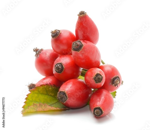 Rosehip (Rosa canina)