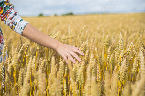 Woman s arm in wheat field.