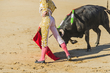 Poster Stierenvechten Spaanse torero in actie  © Alfonsodetomas