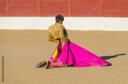 Spanish bullfighter awaiting the bull