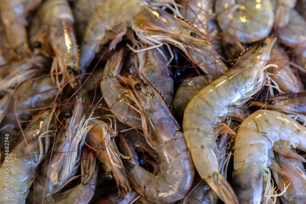 Close up of fresh shrimp on ice patway Close up of fresh shrimp on ice patway
