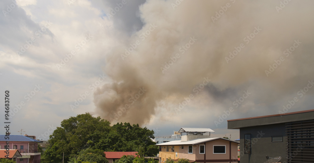 Fire burning/Fire burning and white smoke over rubber factory behind the big tree.