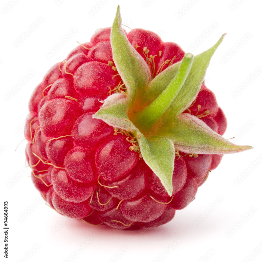 ripe raspberry isolated on white background close up