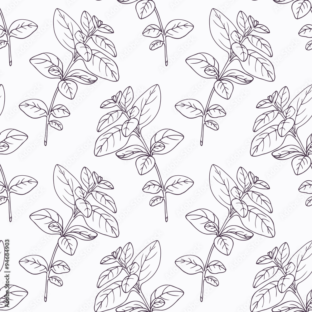 Fototapeta premium Hand drawn oregano branch outline seamless pattern