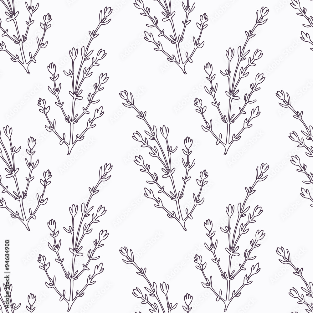 Hand drawn thyme branch outline seamless pattern