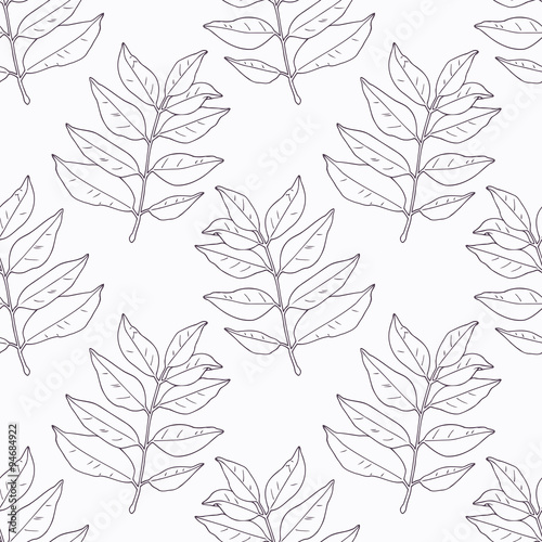 Hand drawn curry leaves and branch outline seamless pattern