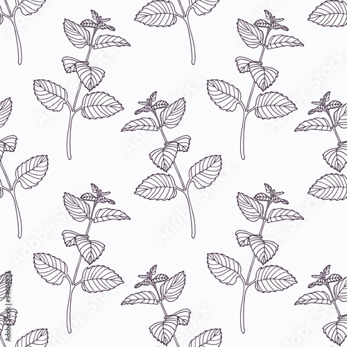 Hand drawn melissa branch outline seamless pattern