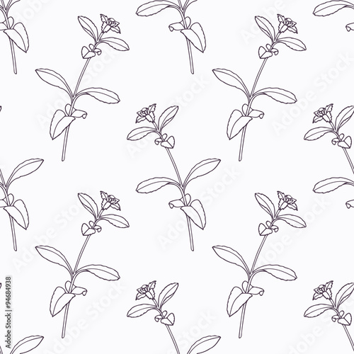 Hand drawn stevia branch outline seamless pattern