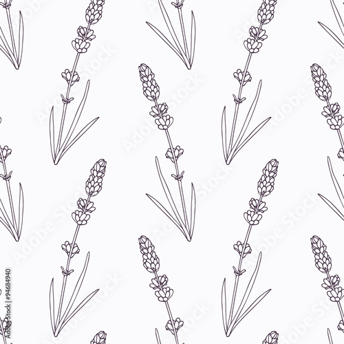 Hand drawn lavender branch and flowers outline seamless pattern