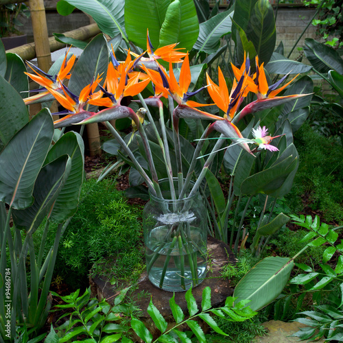Birds of paradise flowers bouquet