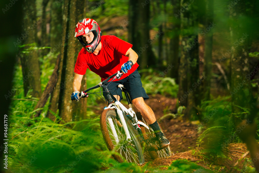 Fototapeta premium Mountain Biker Riding Down Forest Trail