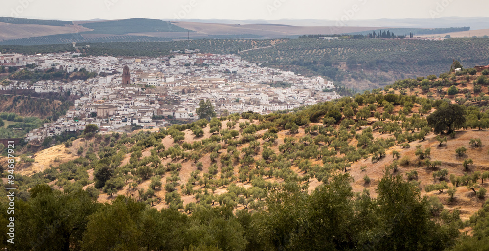Town of Montoro surrounded by olive trees