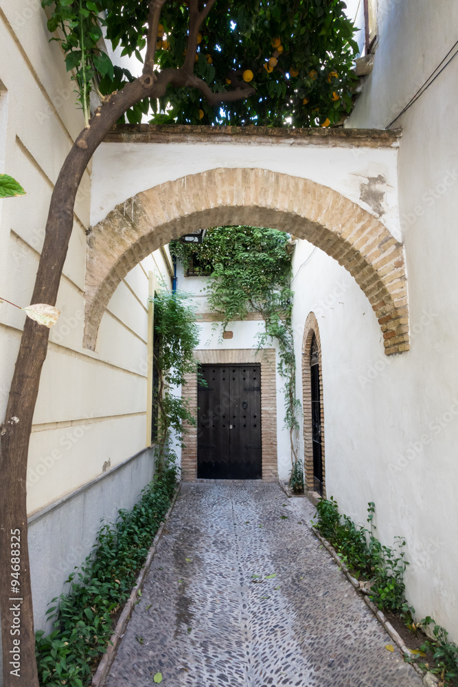 Narrow entrance in Cordoba street in Spain