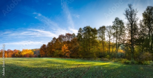 Green field at autumnal morning. Panormic landscape