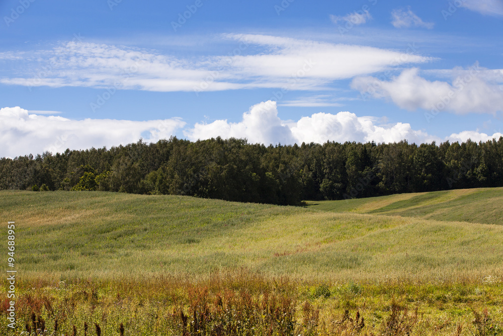 agriculture field. Away trees