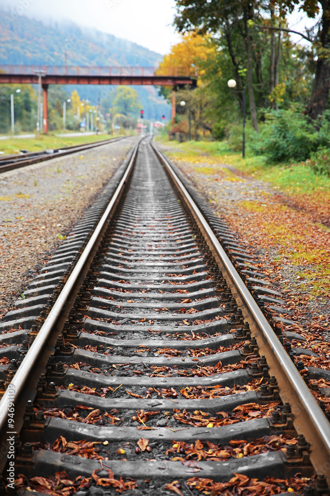 Fototapeta premium Railway track over green trees background