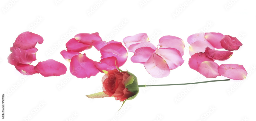 Caption word of love/Caption word love on white background. Love inscription from the petals of roses.