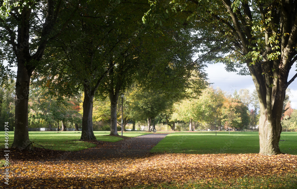 Obraz premium Early Fall at Alton Baker Park