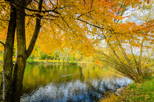 Herbstzeit