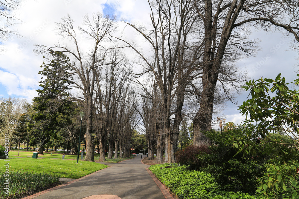 the landscape in melbourne,australia