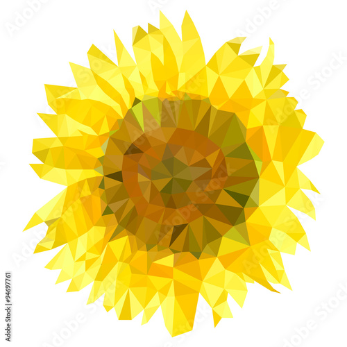 triangulation sunflower