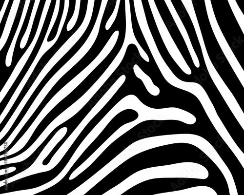 Print pattern  skin of zebra  vector illustration