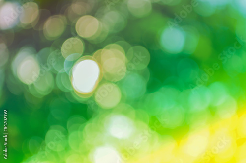 blur image of Abstract Bokeh of tree green color background