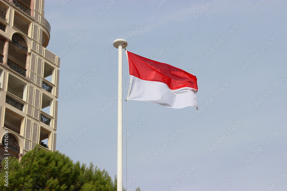 Fototapeta premium Flag of Monaco