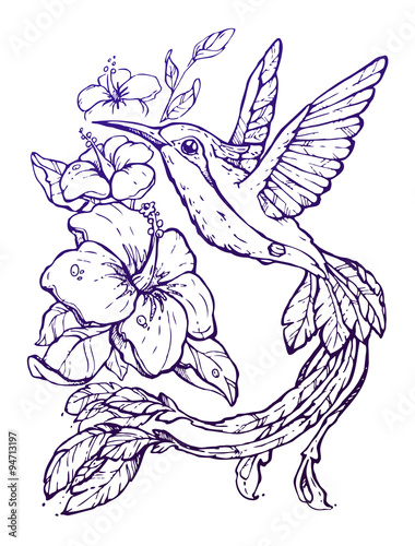 Beautiful illustration with colibri and flowers