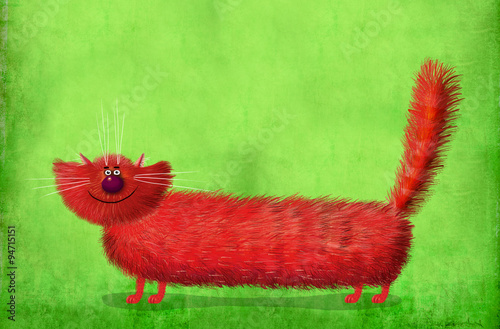 Long Fluffy Cat on Green Background