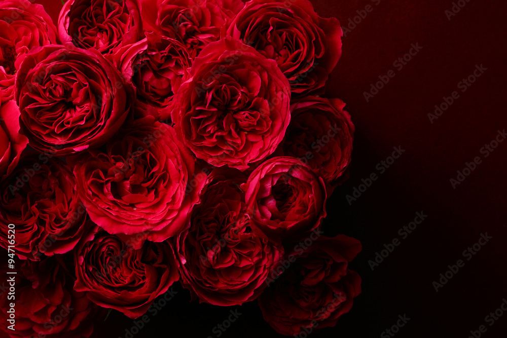 赤い薔薇 赤い薔薇