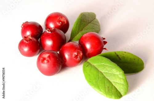 seven fresh ripe cranberries or cowberries on white with leaves
