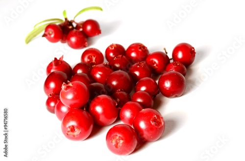 placer of delicious berries cranberries or cowberries lies on a white background  with leaves