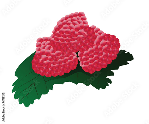 Background with Raspberries for your design