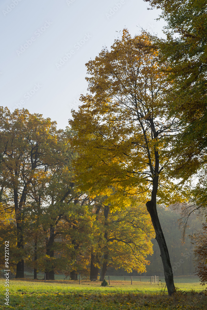 Herbstlaubpark