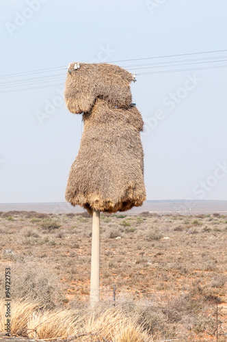 Community bird nest on telephone pole photo