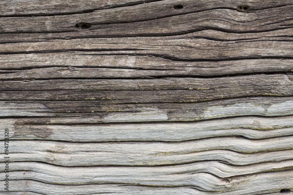 the Bark surface, background and texture - close up - aged Wood the Bark surface, background and texture - close up - aged Wood