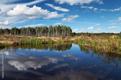 Fototapeta Naklejka Na Ścianę i Meble -  Blue sky reflections in the pond