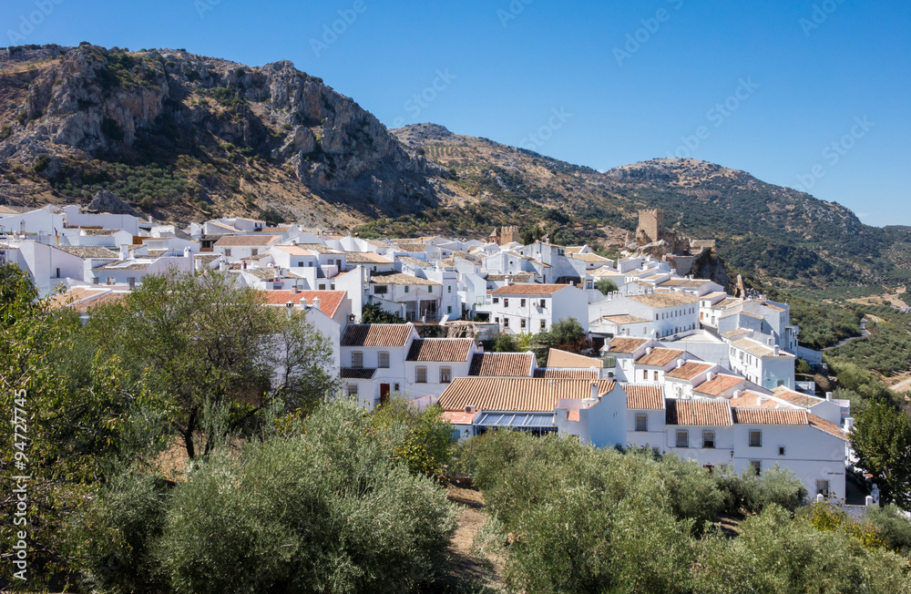 Olive trees surround hilltown of Zuheros in Andalucia