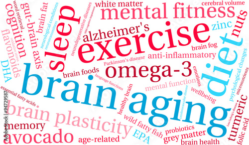 Brain Aging Word Cloud