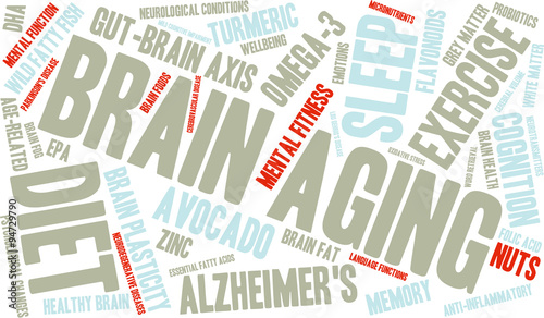 Brain Aging Word Cloud