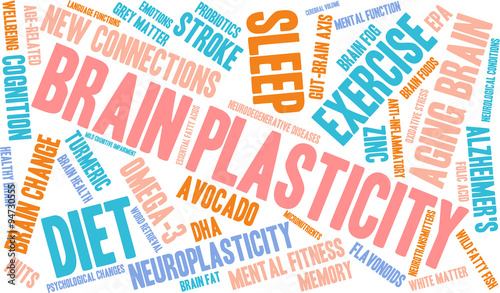 Brain Plasticity Word Cloud