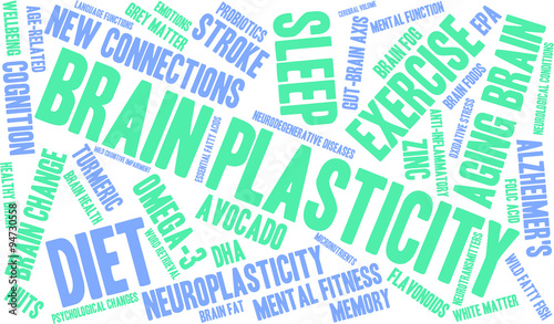 Brain Plasticity Word Cloud