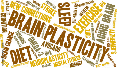 Brain Plasticity Word Cloud