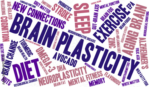 Brain Plasticity Word Cloud