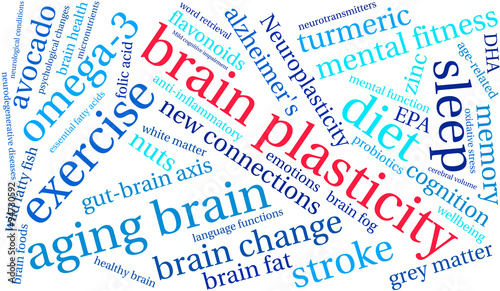 Brain Plasticity Word Cloud