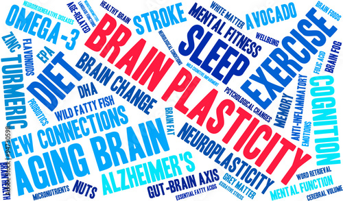 Brain Plasticity Word Cloud