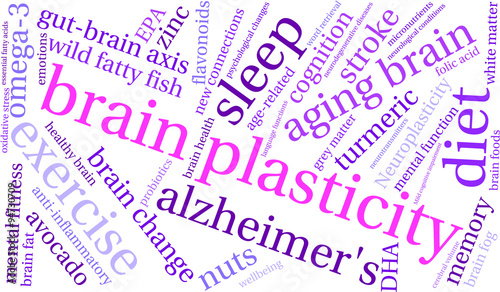 Brain Plasticity Word Cloud