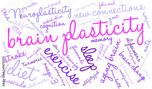 Brain Plasticity Word Cloud