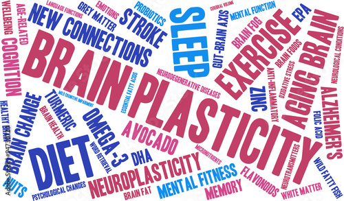 Brain Plasticity Word Cloud